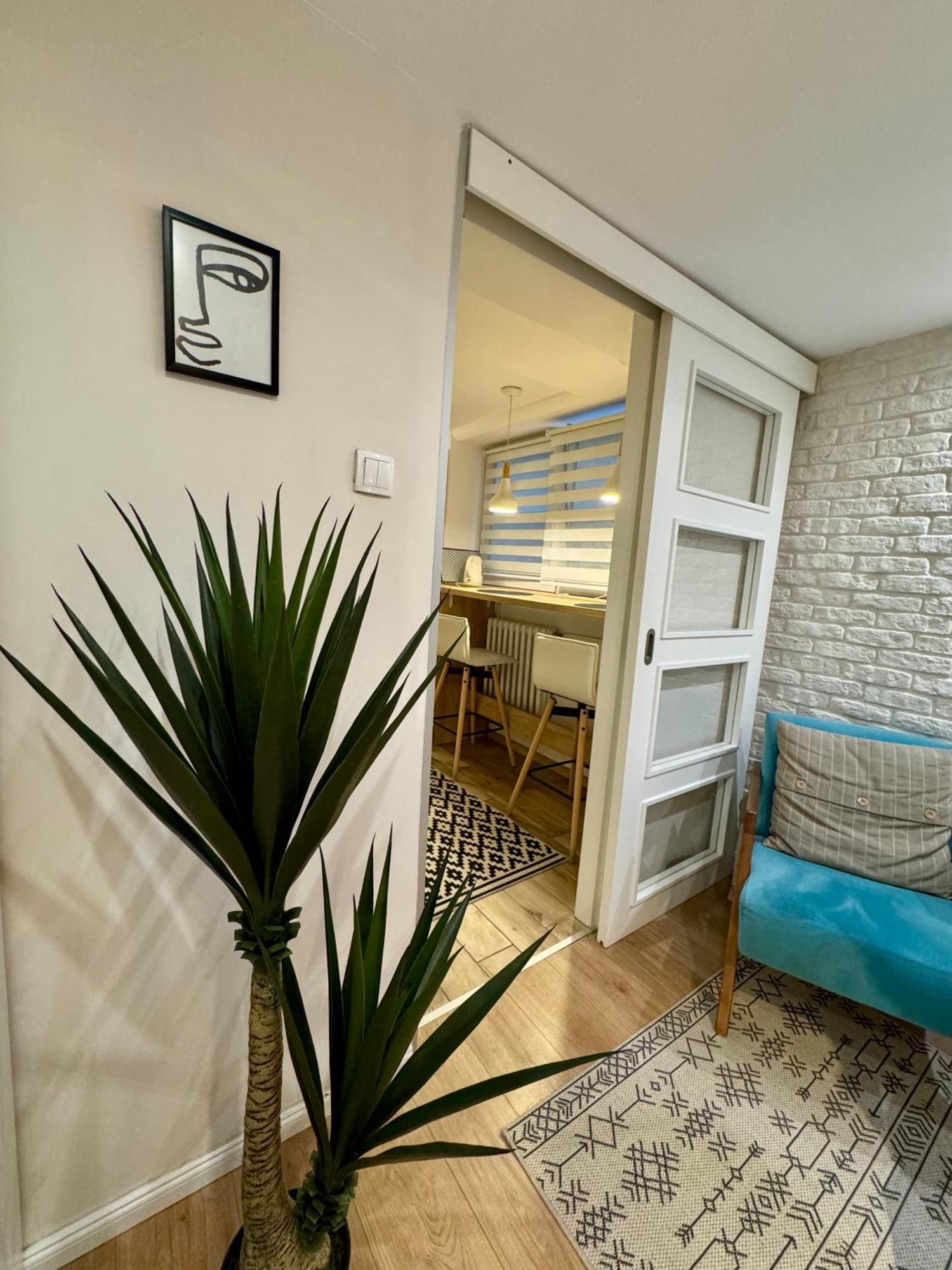 Cozy Haven Apartamento Belgrado Exterior foto